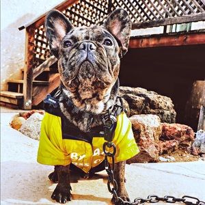 Meet your Posher, Derrick